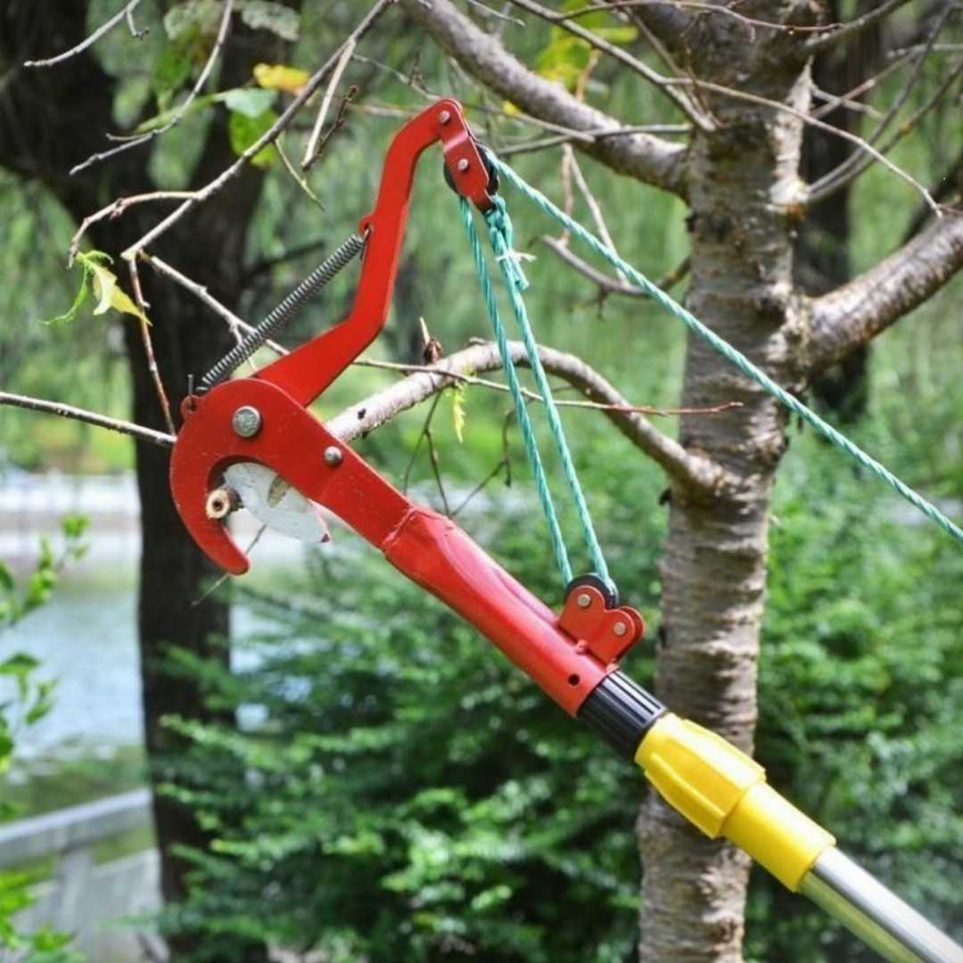 Extendable High Branch Trimmer Tree Pruner