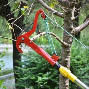 Extendable High Branch Trimmer Tree Pruner